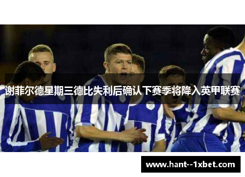 谢菲尔德星期三德比失利后确认下赛季将降入英甲联赛